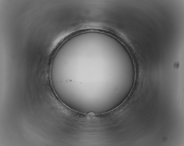 X0000111171312200907151249