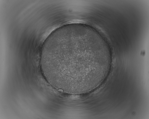 X0000111171313200907151249