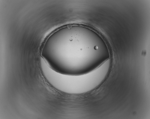 X0000111171316200907151249