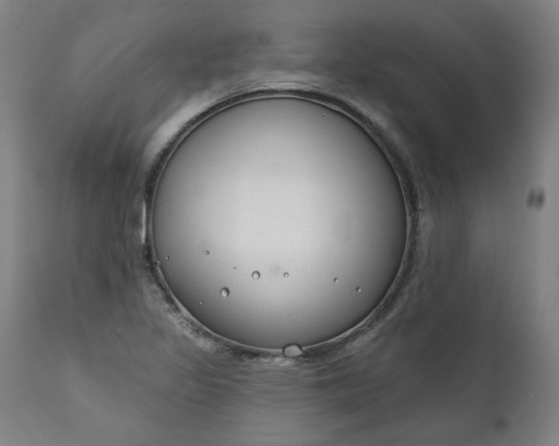 X0000111171317200907151249