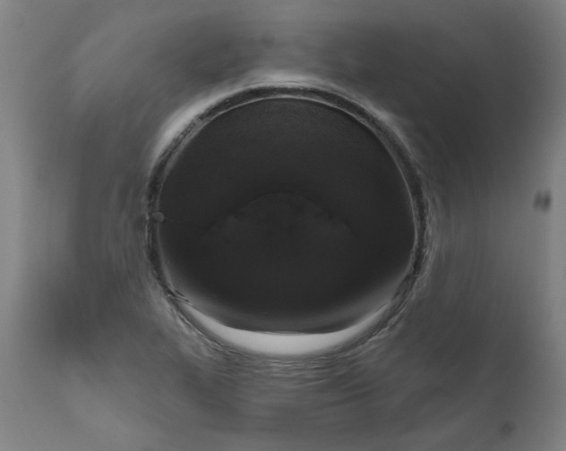 X0000111171319200907151249