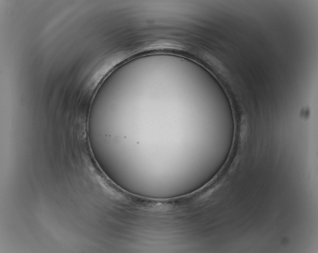 X0000111171321200907151249