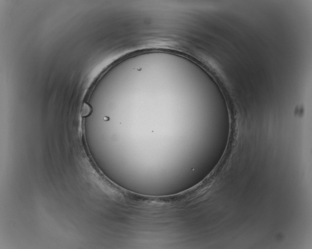 X0000111171324200907151249