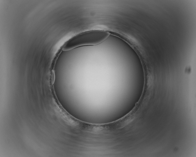 X0000111171326200907151249