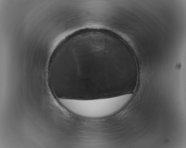 X0000111171327200907151249