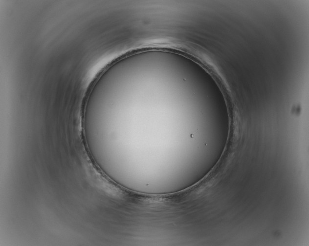 X0000111171328200907151249