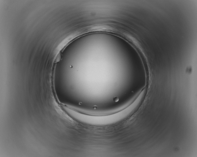 X0000111171330200907151249