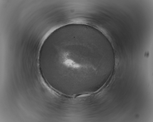 X0000111171331200907151249