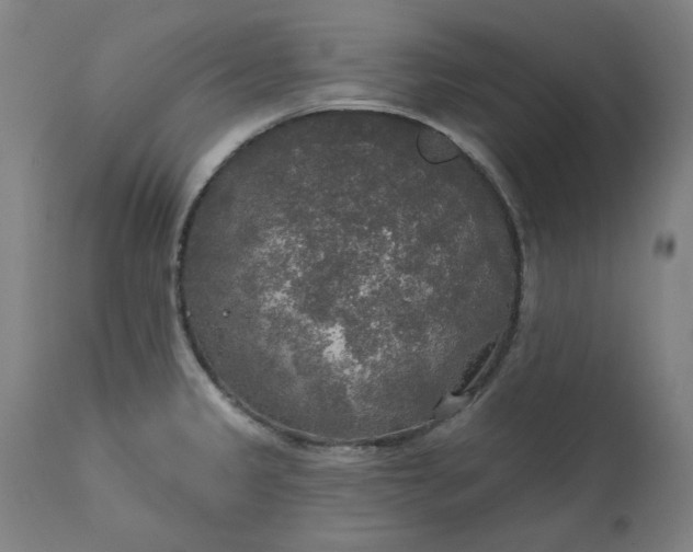 X0000111171333200907151250