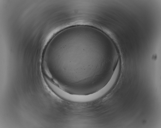 X0000111171334200907151250