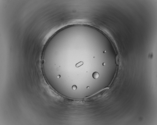 X0000111171336200907151250