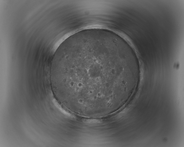 X0000111171337200907151250