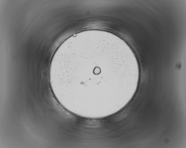 X0000111171338200907151250