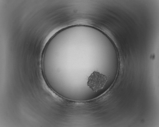 X0000111171339200907151250