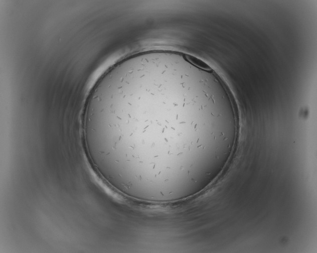 X0000111171341200907151250