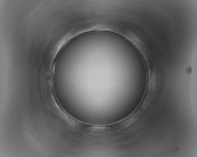 X0000111171342200907151250