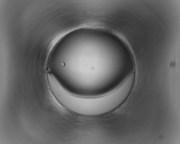 X0000111171344200907151250