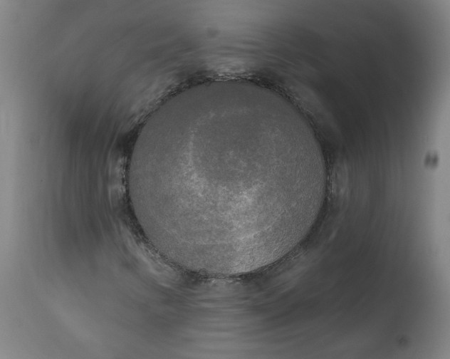 X0000111171346200907151249