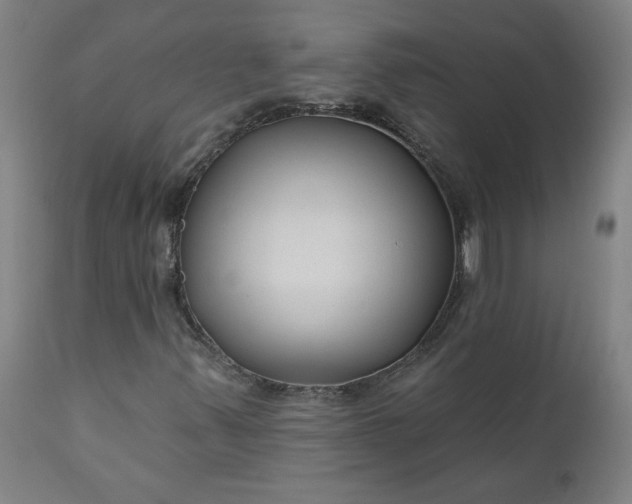 X0000111171347200907151249