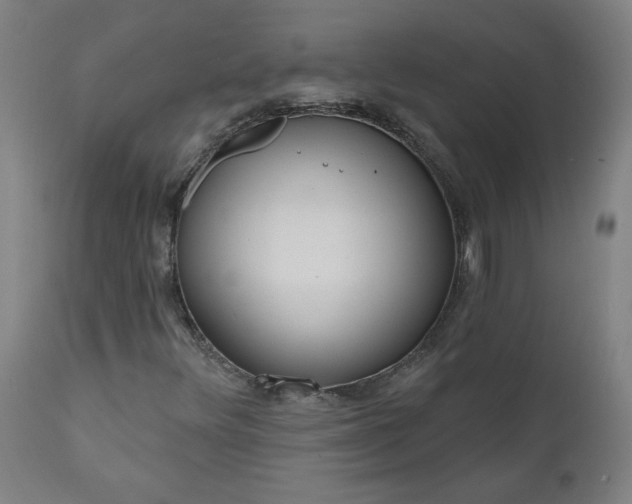 X0000111171348200907151249