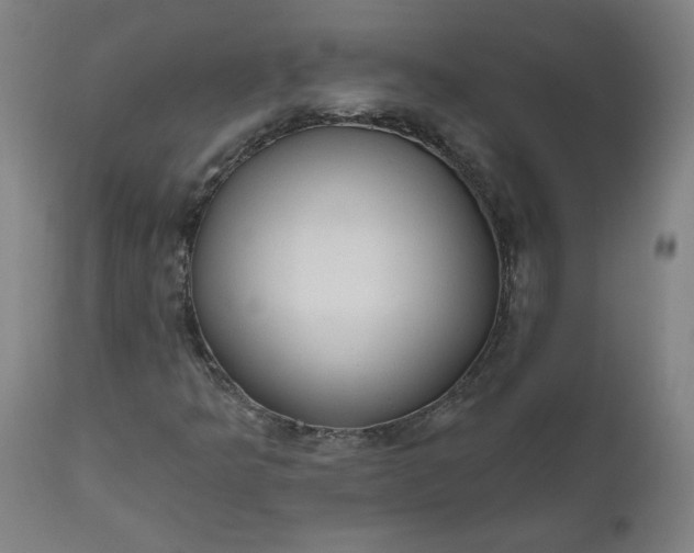 X0000111171349200907151249