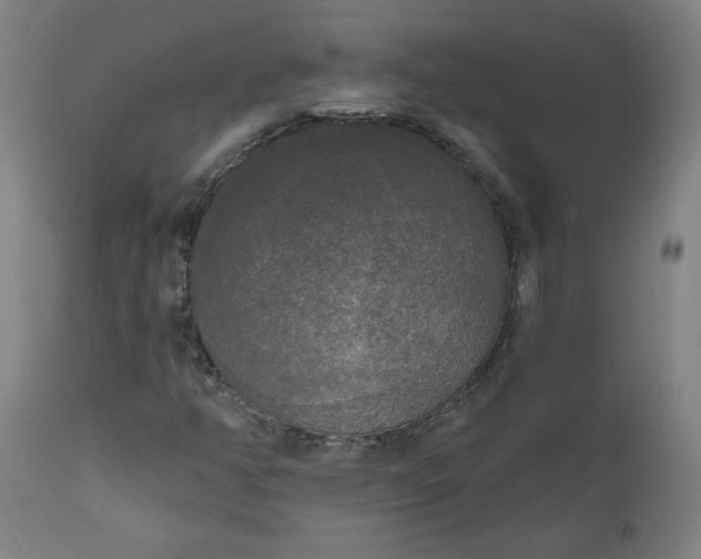 X0000111171350200907151249