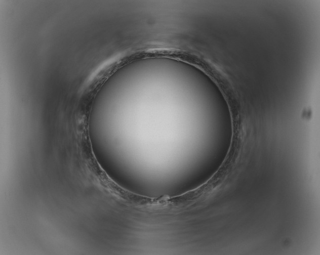 X0000111171351200907151249