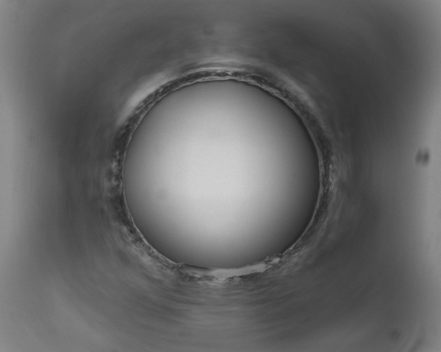 X0000111171352200907151249