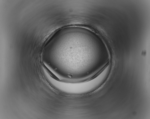 X0000111171353200907151249