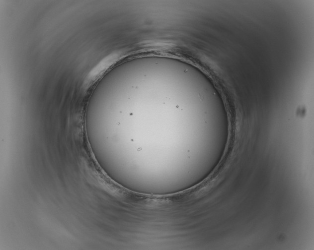 X0000111171354200907151249