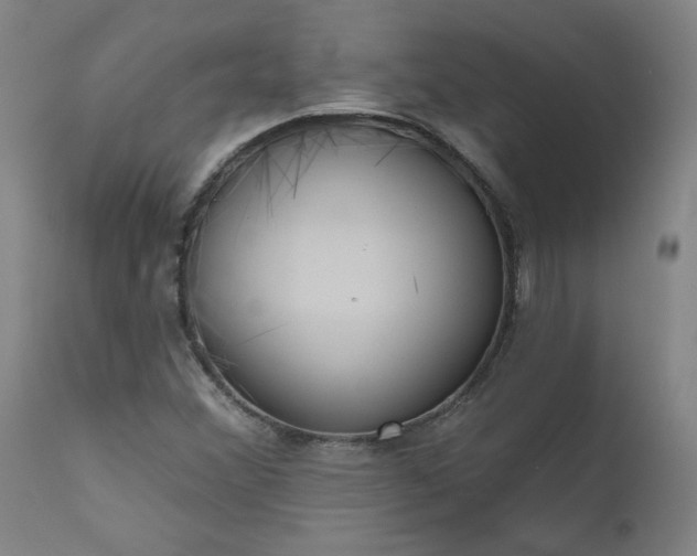 X0000111171356200907151249