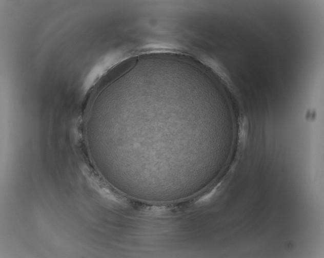 X0000111171357200907151249