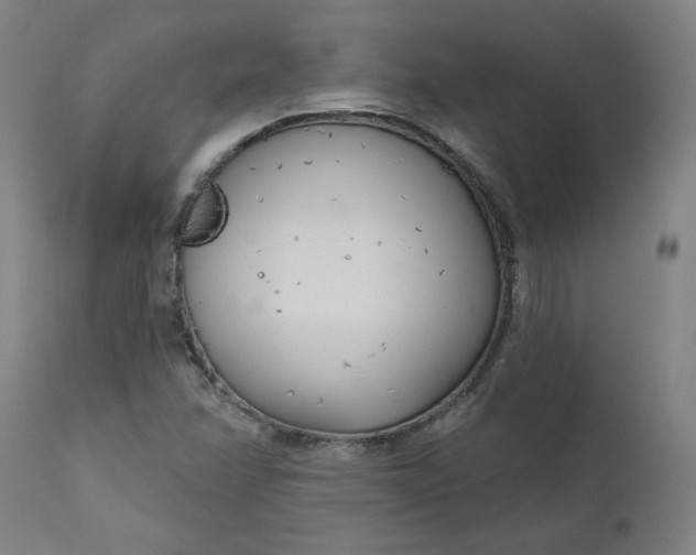 X0000111171358200907151249