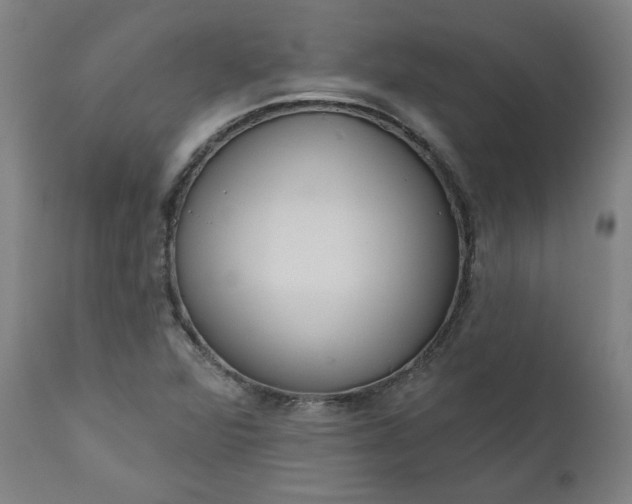 X0000111171360200907151249