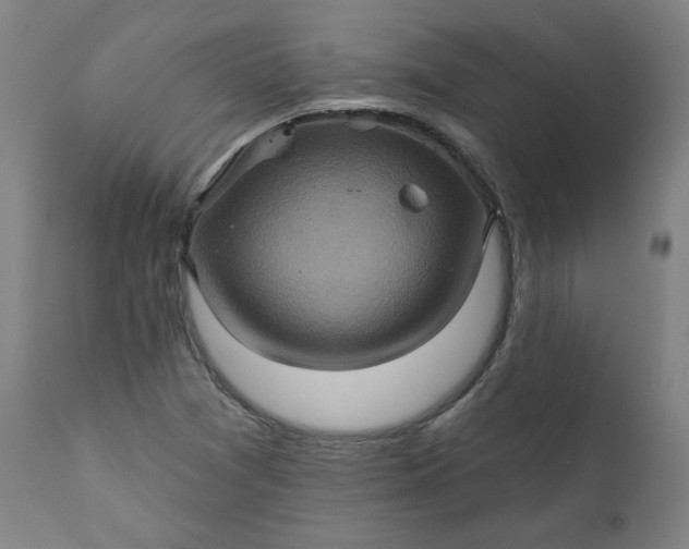 X0000111171361200907151249