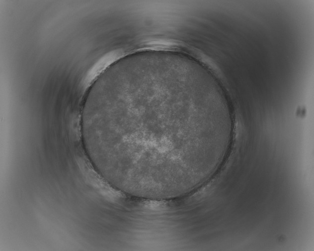 X0000111171362200907151249