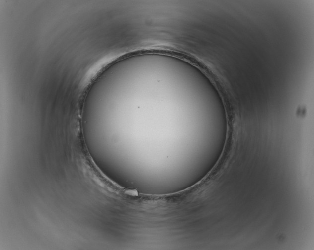 X0000111171363200907151249