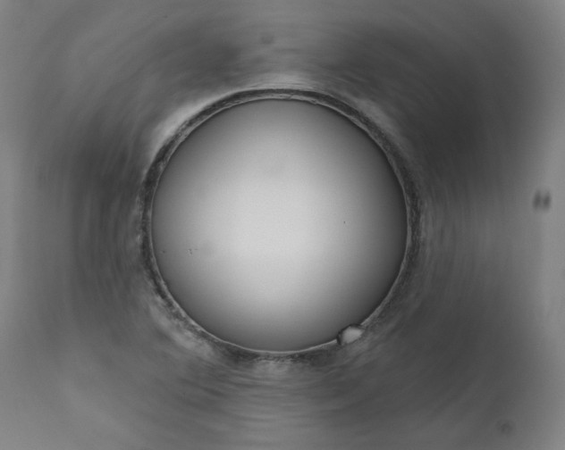 X0000111171364200907151249