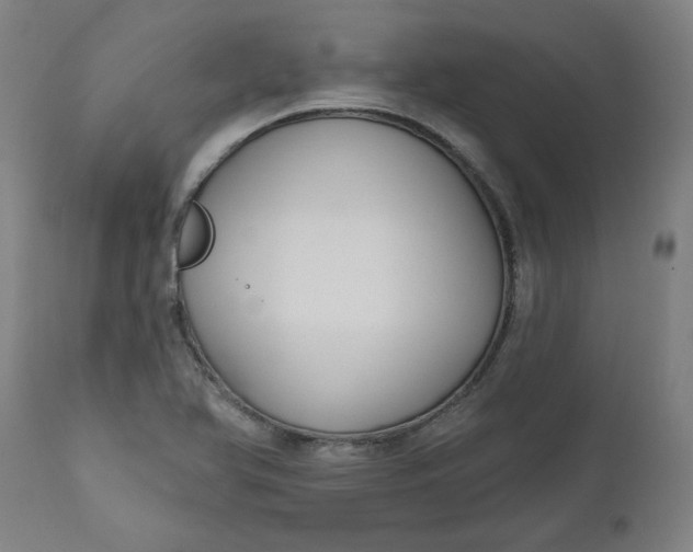 X0000111171366200907151249