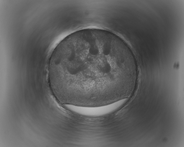 X0000111171367200907151249