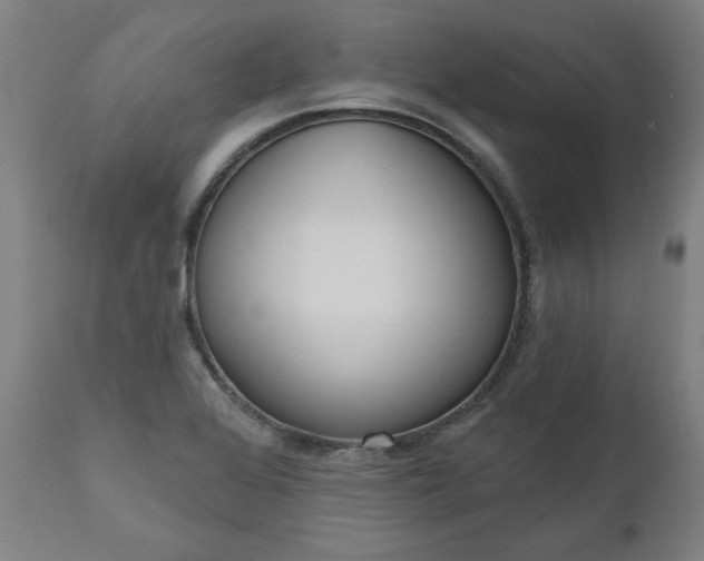 X0000111171368200907151249