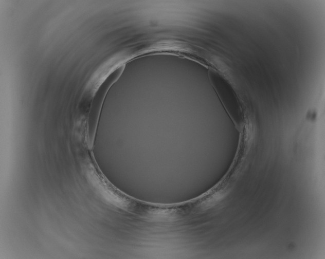 X0000111171369200907151248