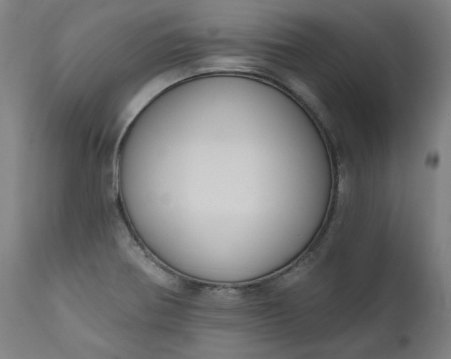 X0000111171370200907151248