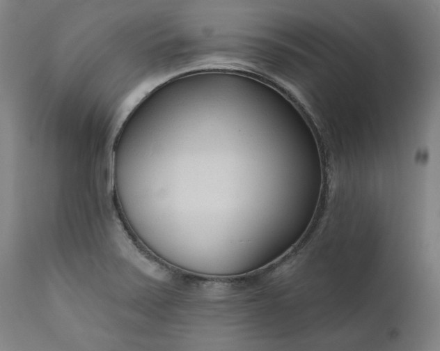 X0000111171371200907151248