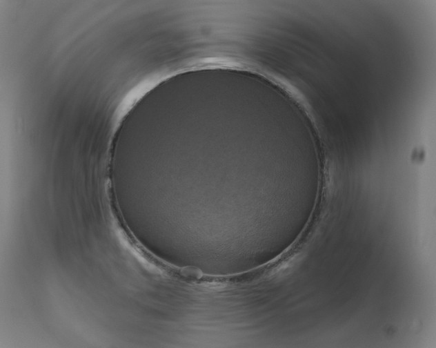 X0000111171373200907151248