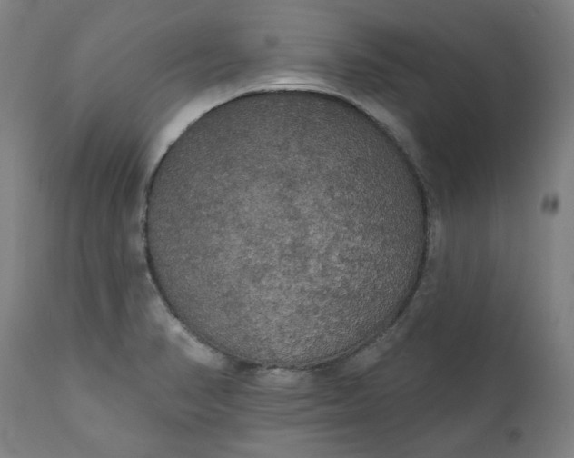 X0000111171374200907151248