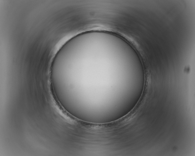 X0000111171375200907151248