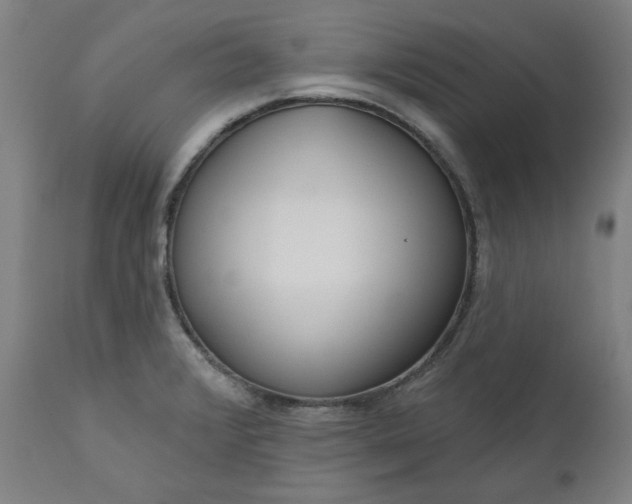 X0000111171376200907151248