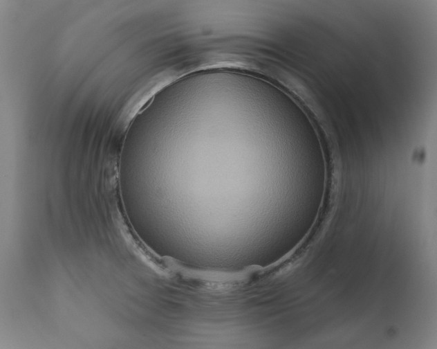 X0000111171377200907151248