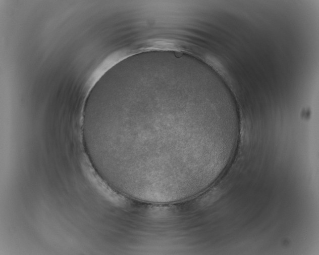 X0000111171378200907151248